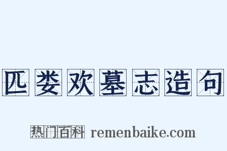 匹娄欢墓志造句是什么意思的图片